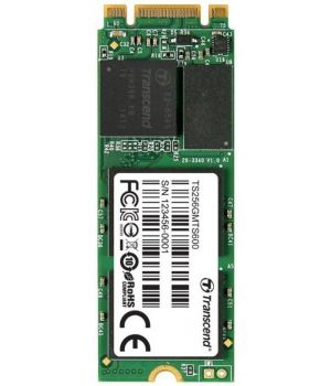 Transcend TS256GMTS600