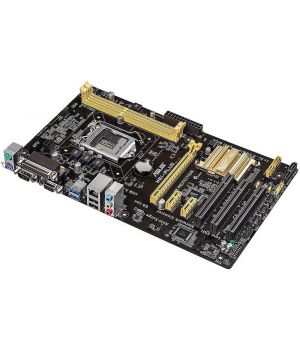 Asus H81-PLUS