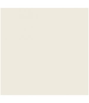 Savage Widetone Studio Gray 1,36x11m (12-1253)
