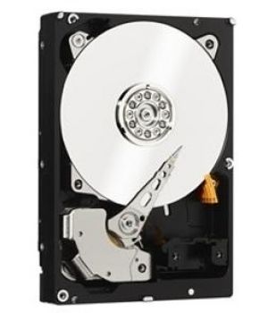 WD RE WD1003FBYZ