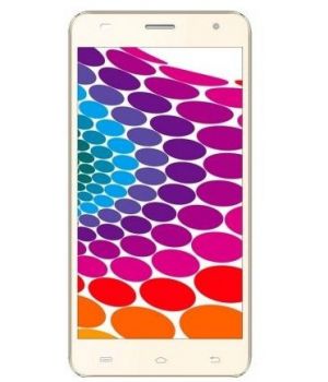 Nomi i504 Dream Gold (UA UCRF)