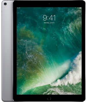 Apple iPad Pro 12.9-inch Wi-Fi + Cellular 256GB Space Gray (MPA42)