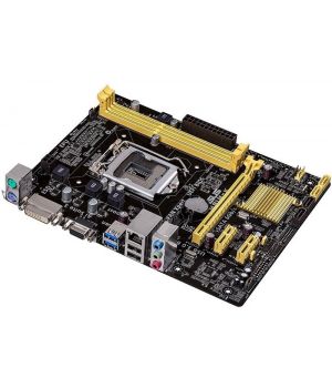 Asus H81M-K