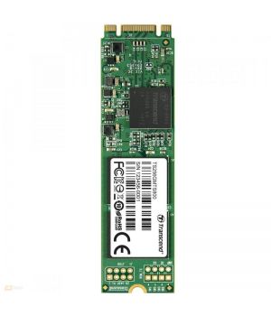 Transcend TS256GMTS800