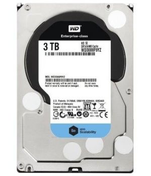 WD Se WD3000F9YZ