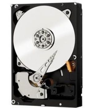 WD RE WD3000FYYZ