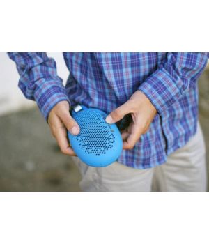 Boom Urchin Blue