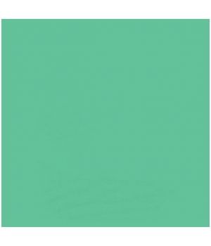 Savage Widetone Mint Green 1,36x11m (40-1253)