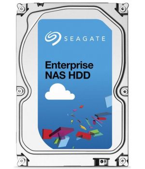 Seagate Enterprise NAS HDD ST6000VN0001