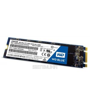 WD SSD Blue M.2 WDS250G1B0B