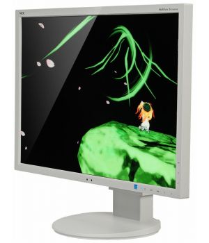 NEC EA244WMi