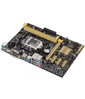 Asus H81M-PLUS