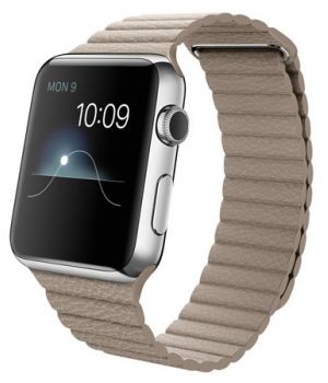 Apple Watch 42mm Stainless Steel Case with Stone Leather Loop (MJ442)