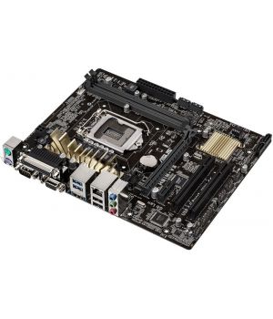 Asus H81M-V3