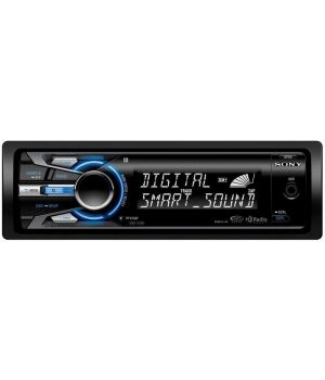 Sony DSX-S100