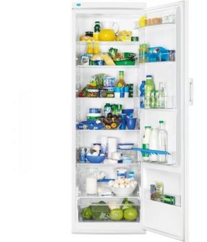 Zanussi ZRA40100WA