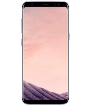 Samsung Galaxy S8 64Gb (SM-G950FZVDSEK) Orchid Gray (UA UCRF)