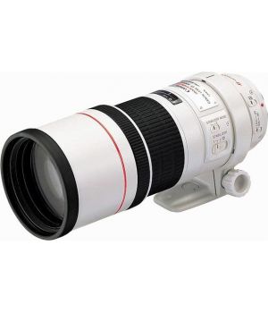 Canon EF 300mm f/4L IS USM
