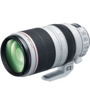 Canon EF 100-400mm f/4.5-5.6L II IS USM