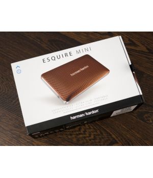 Harman/Kardon Esquire Mini Brown