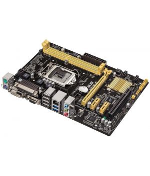 Asus H81M-C