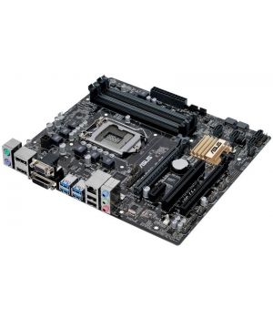 Asus B150M-C D3