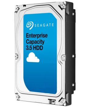 Seagate Enterprise Capacity 3.5 HDD 1 TB (ST1000NM0008)
