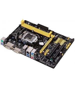 Asus H81M2