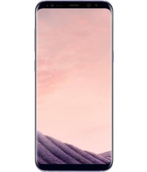 Samsung Galaxy S8 Plus 64Gb (SM-G955FZVDSEK) Orchid Gray (UA UCRF)