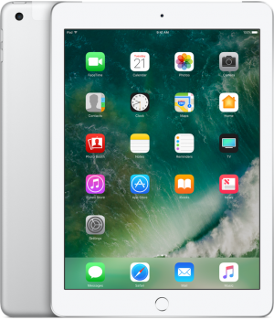 Apple iPad Wi-Fi + Cellular 128GB Silver (MP2E2)